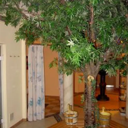 Otel Metzgerwirt Sankt Veit im Pongau